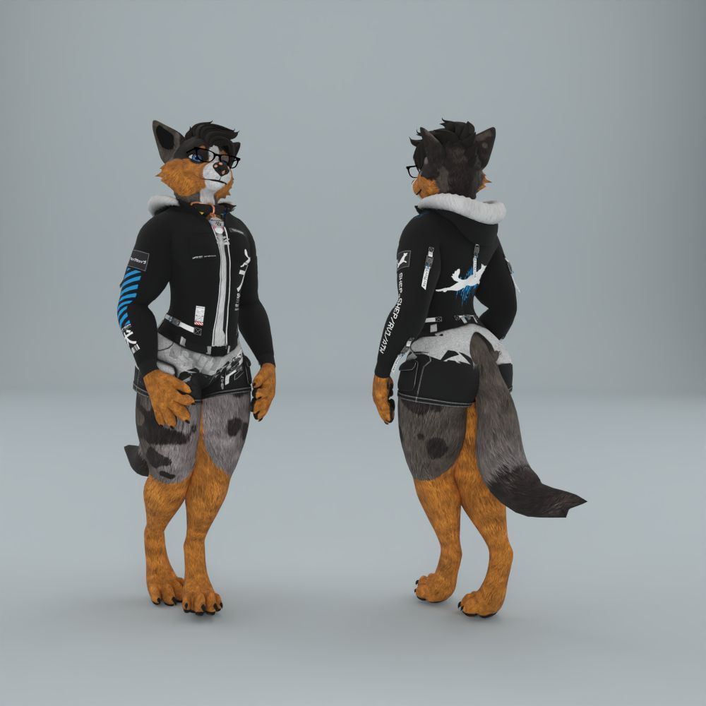 Brooks - Canis