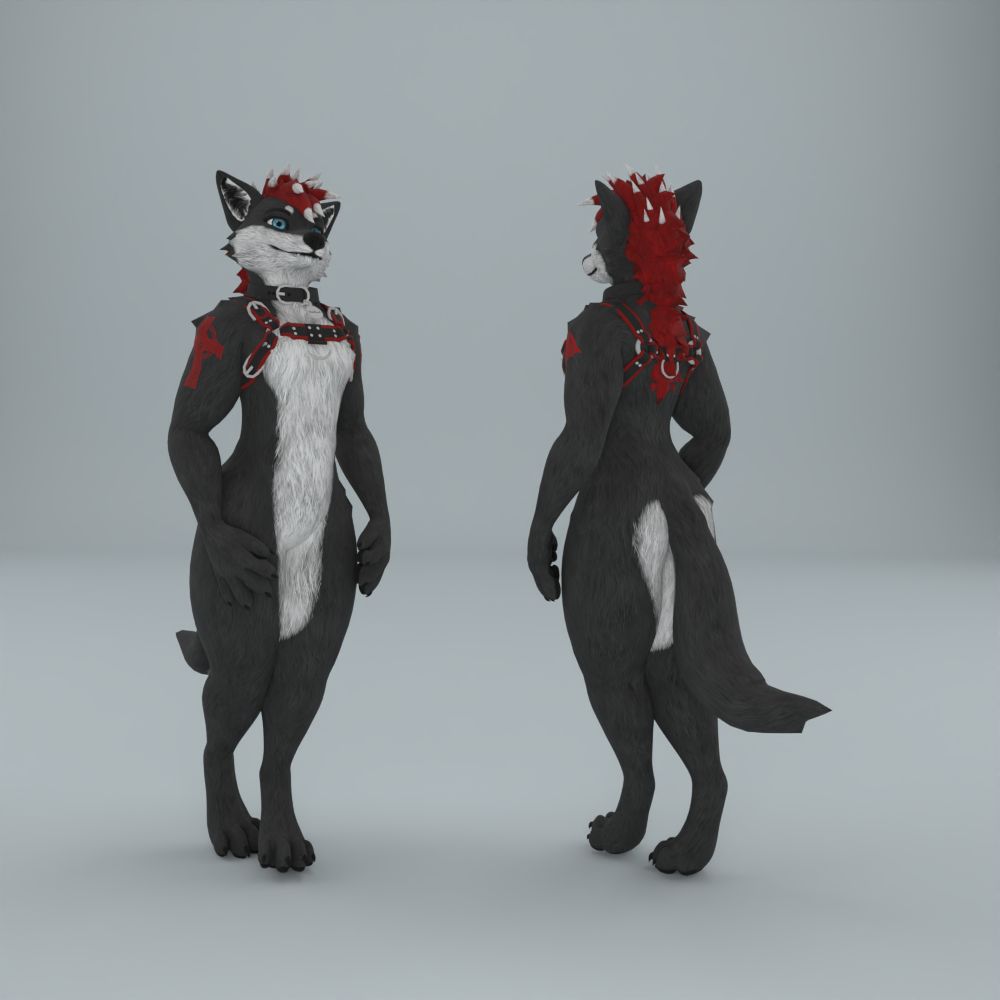 Roebuck - Canis