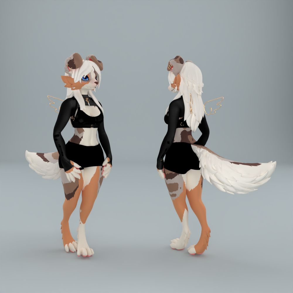 Senip - Nova